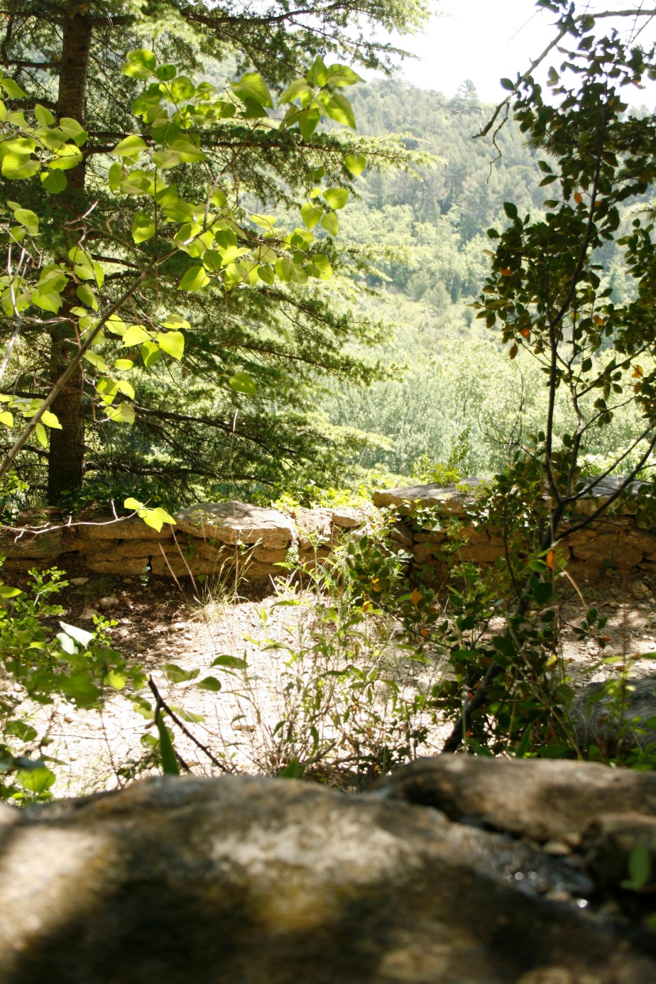 stubbornpreinstallation